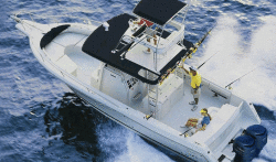 Stamas Yachts - 310 Tarpon