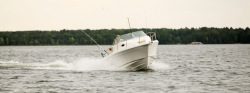 2012 - Striper Boats - 2101 Walk Around OB