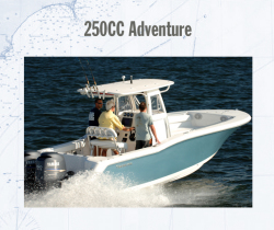 2010 - Tidewater Boats - 250CC