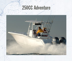 2011 - Tidewater Boats - 250CC Adventure