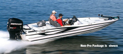 2009 - Triton Boats - 20X3 Pro Non-Skid