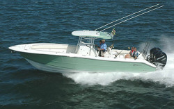 2010 - Triton Boats - 351 CC