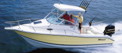 2010 - Triton Boats - 2486 WA