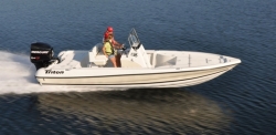 2013 - Triton Boats - 220 LTS Pro